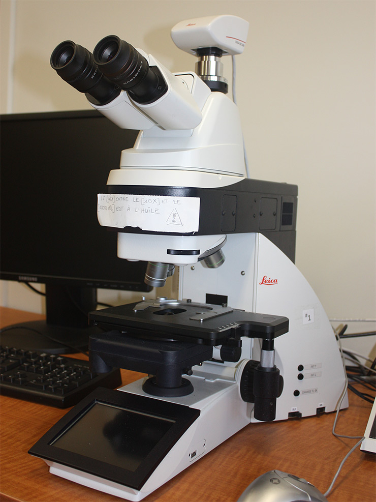 Microscope with digital camera (DM 5500 B)