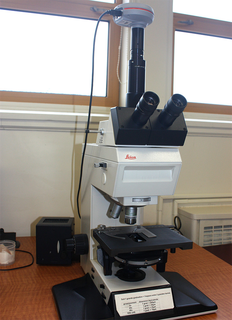 Microscope avec caméra digitale (DMRB)