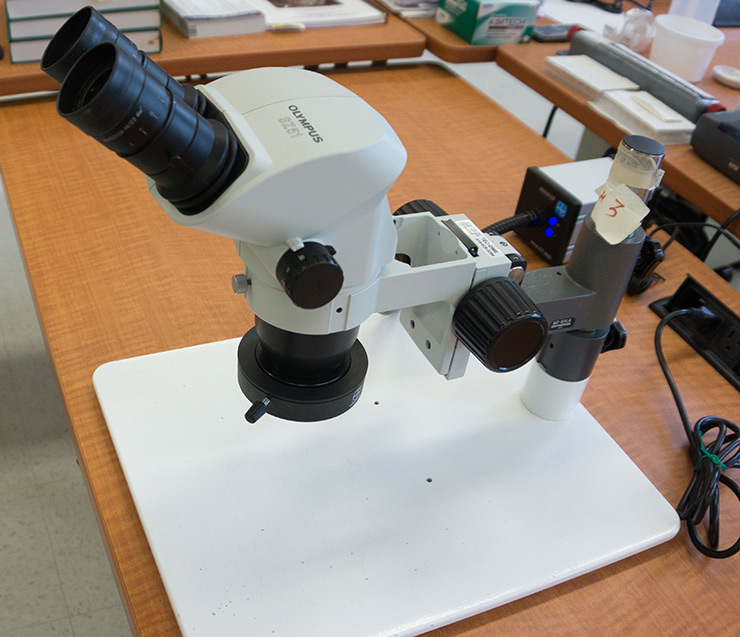 Stereo microscopes (SZ51/SZ61)